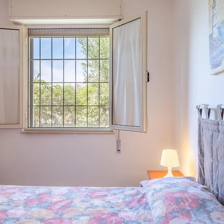 - San Lorenzo レイタニ